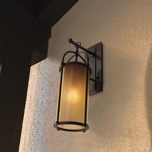 Hood 1-Light Outdoor Wall Lantern