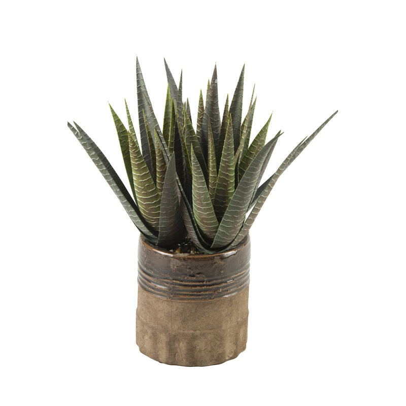 D & W Silks Faux Agave & Reviews Wayfair