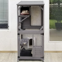 buy cat enclosure