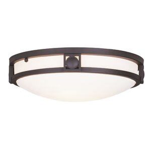 Dane 2-Light Flush Mount