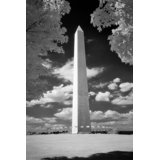 Washington Dc Canvas Art Wayfair