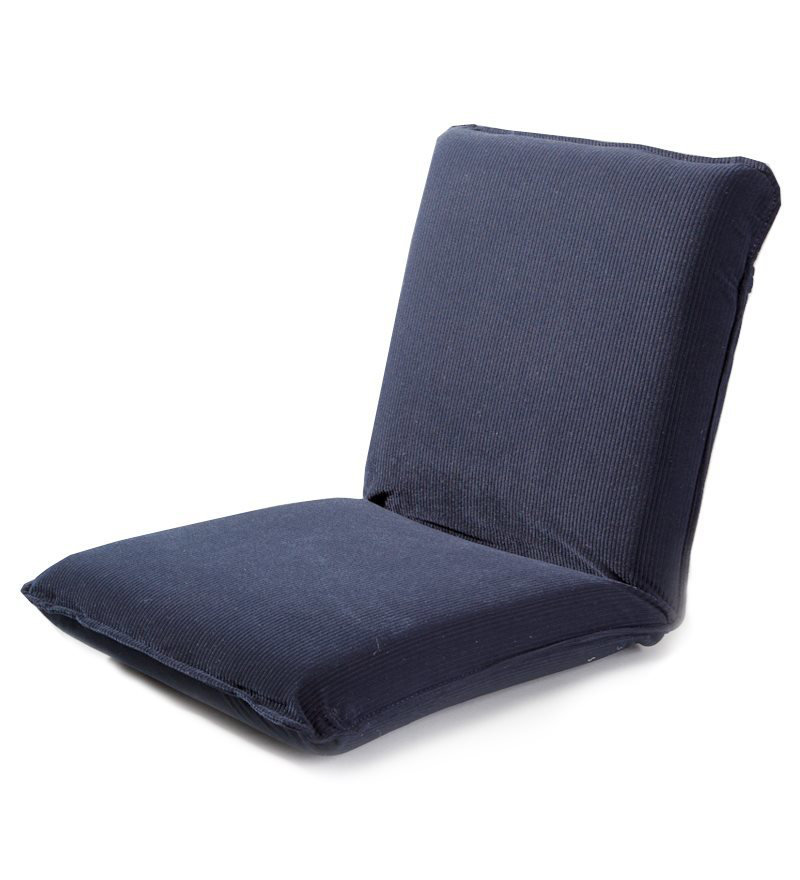 Plow Hearth Multiangle Floor Game Chair Reviews Wayfair
