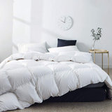 Black Feather Comforter Wayfair