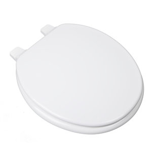 Go to store & view more images Plumbing Technologies LLC Builder Grade Molded Wood Round Toilet Seat