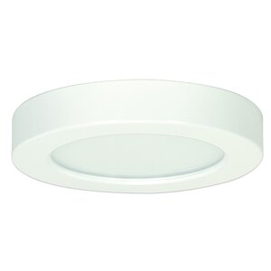 Oscar 1-Light 3000K Flush Mount