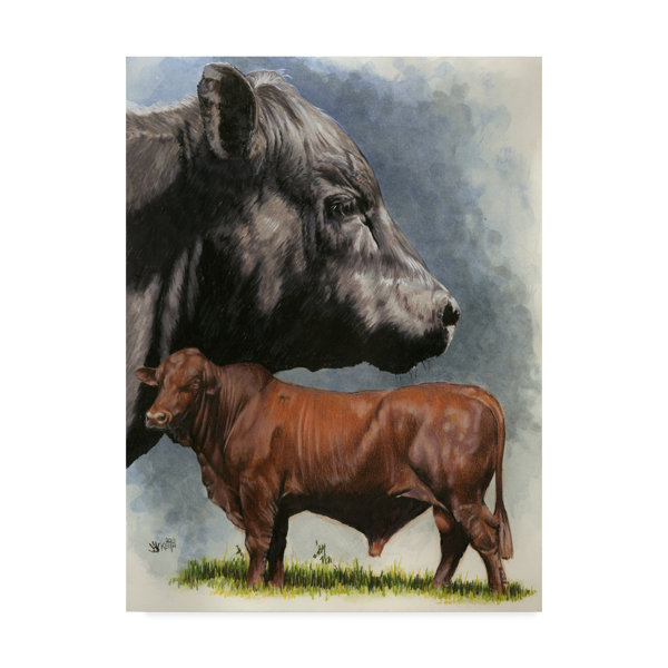 Trademark Art Angus Cattle Oil Painting Print On Wrapped Canvas