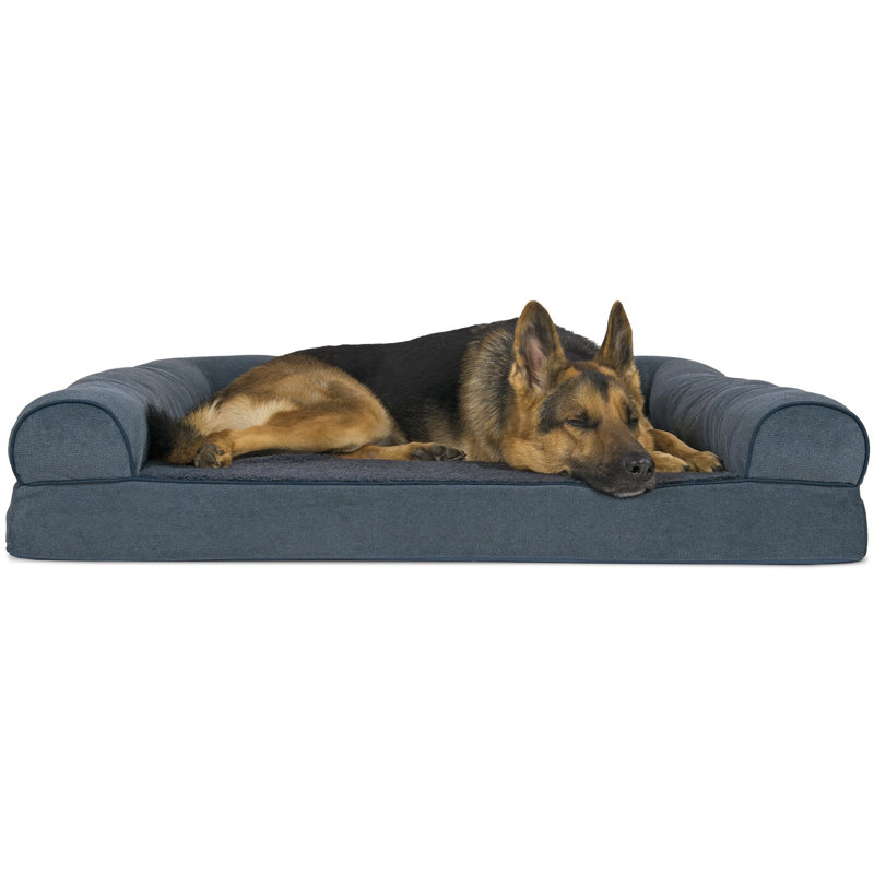 oval cushy dog sofa