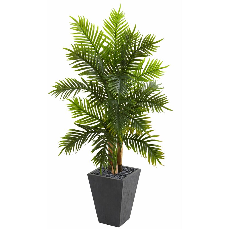 Bay Isle Home 66'' Artificial Palm Tree in Planter & Reviews | Wayfair