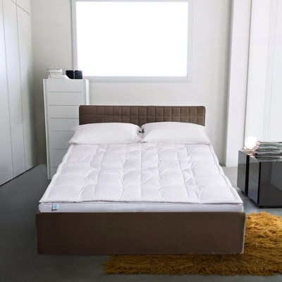 Martha Stewart 3''  Down Mattress Topper