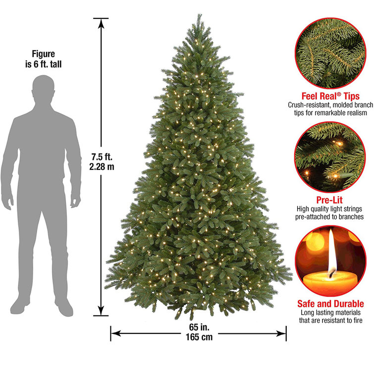 Christmas Trees 7.5 The Holiday Aisle Omnia 7 5 Green Fir Christmas Tree With 1250 Clear White Lights Reviews Wayfair