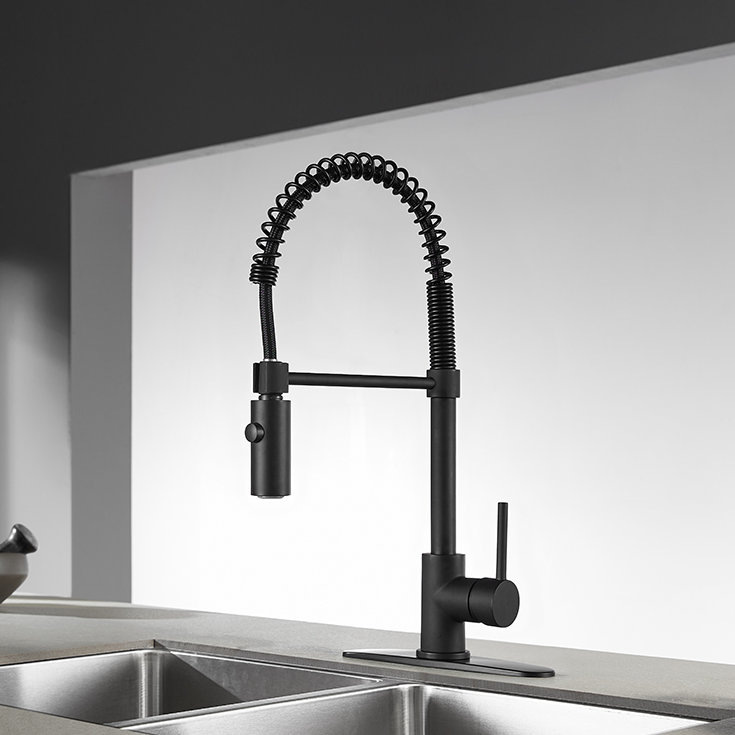 Concord Pull Down Single Handle Kitchen Faucet