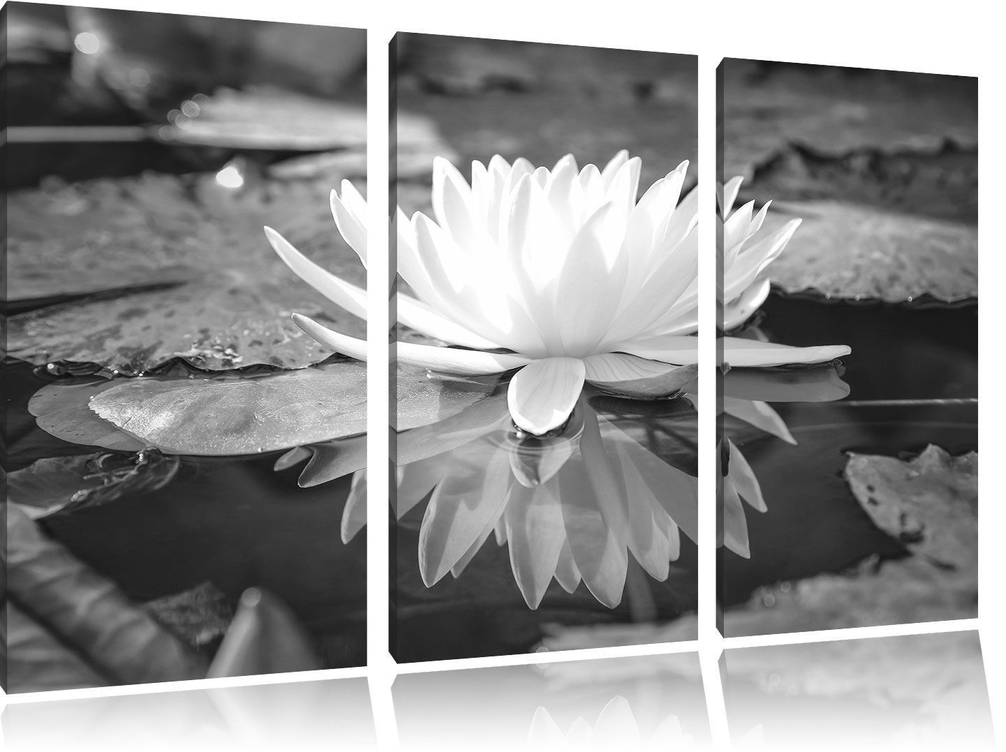 East Urban Home White Lotus Flower In Water 3 Piece Photographic Art Print Set On Canvas Wayfair Co Uk