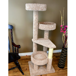 cat house for large cats