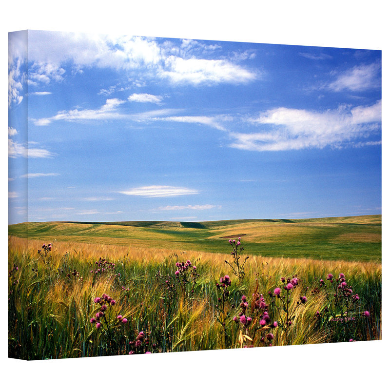 Artwall Field Of Dreams Wrapped Canvas Photographic Print Wayfair