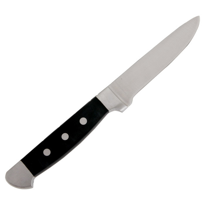 Fortessa Vaquero 4 Piece Steak Knife Set Wayfair