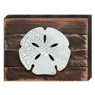Large Sand Dollar Wall Decor Wayfair Vintage Sand Dollar Post Wooden Wall Décor