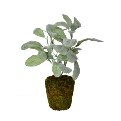 Desktop Foliage in Pot (Set of 2) Gracie Oaks