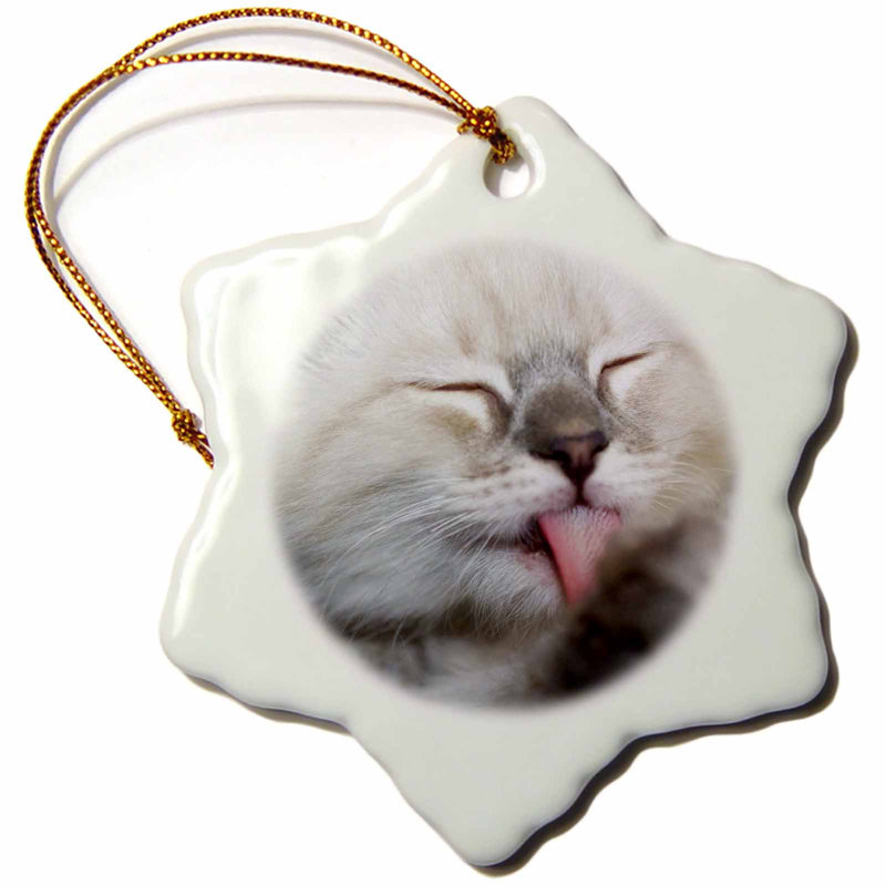 The Holiday Aisle Purebred Rag Doll Cat Snowflake Holiday Shaped Ornament Wayfair