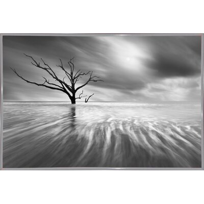 Searching For Life Photographic Print East Urban Home Format White