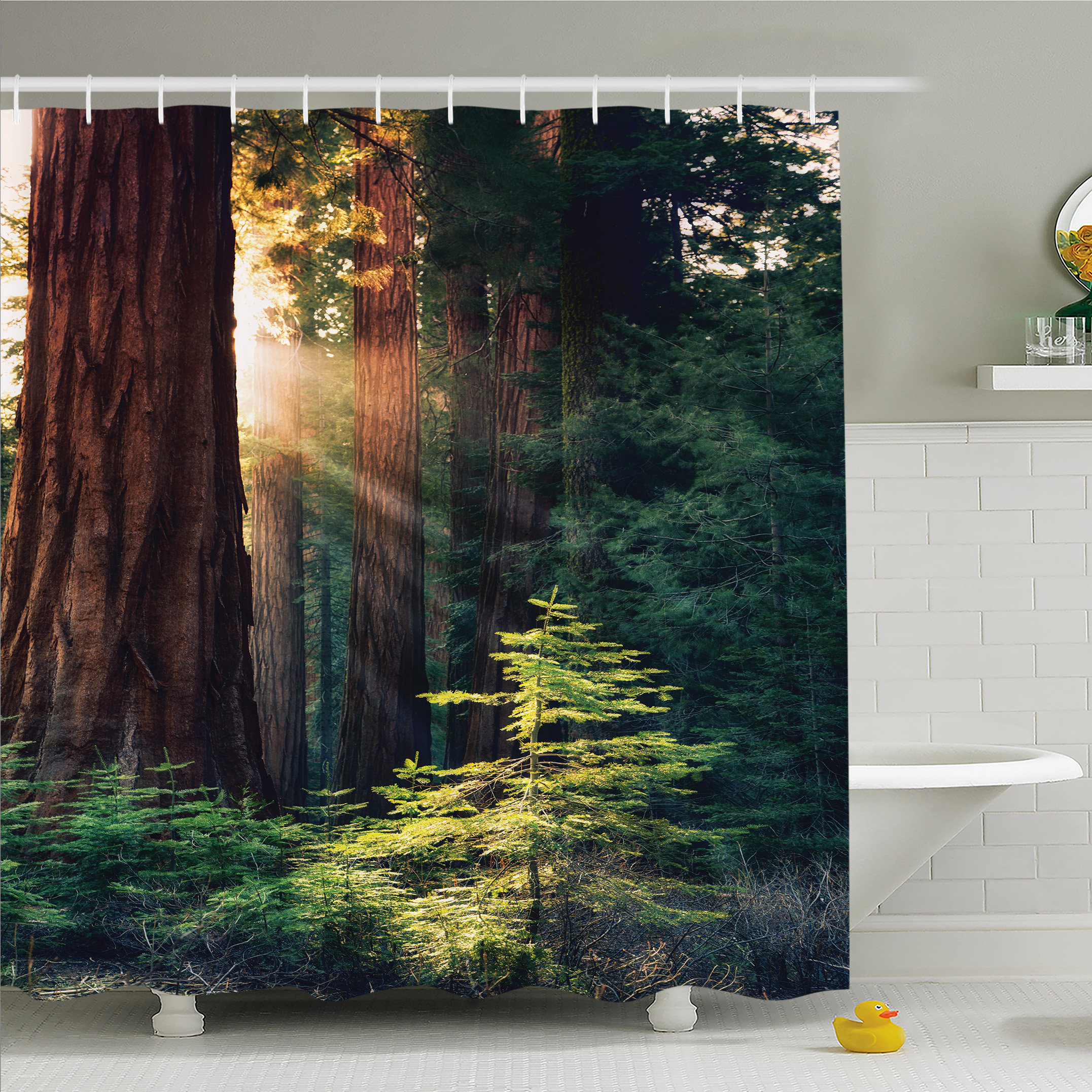 Garden Curtains Old Forest Path Sunshine 72x72 Bath Fabric Shower