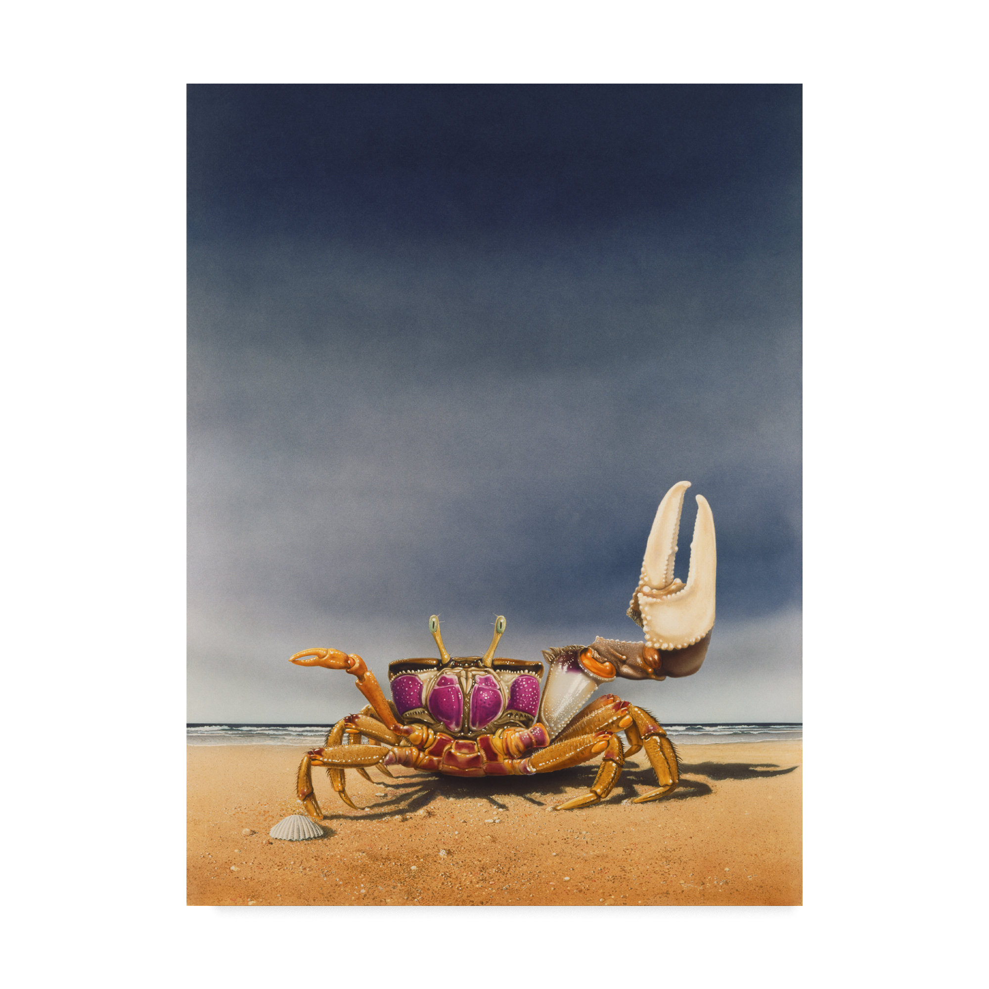 Trademark Art Fiddler Crab Acrylic Painting Print On Wrapped Canvas Wayfair