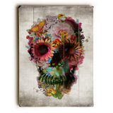 Saber Tooth Skull Wayfair Ca