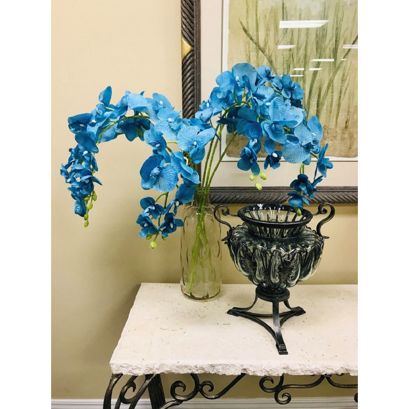 Bay Isle Home Phalaenopsis Orchid Stem Reviews Wayfair