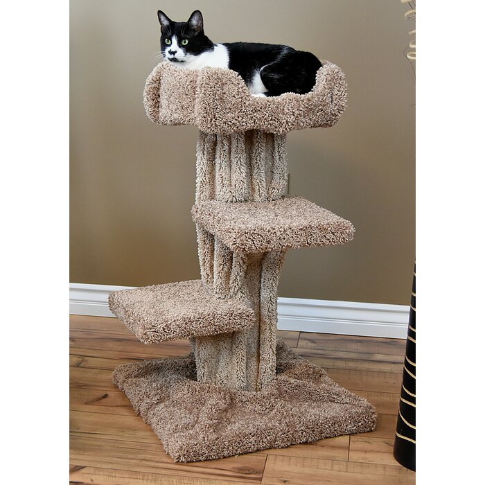 New Cat Condos 33