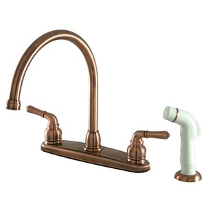 Magellan Double Handle Goose Neck Kitchen Faucet with Side Spray