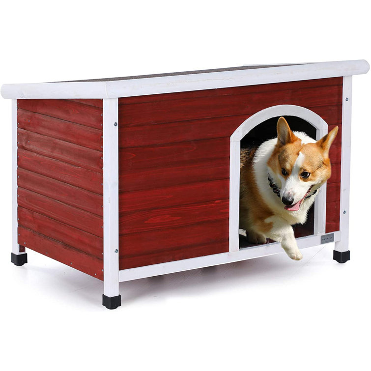 red dog crate