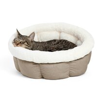 cat orthopedic bed