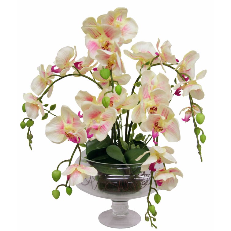 The Seasonal Aisle Orchid Floral Arrangement In Pot & Reviews 