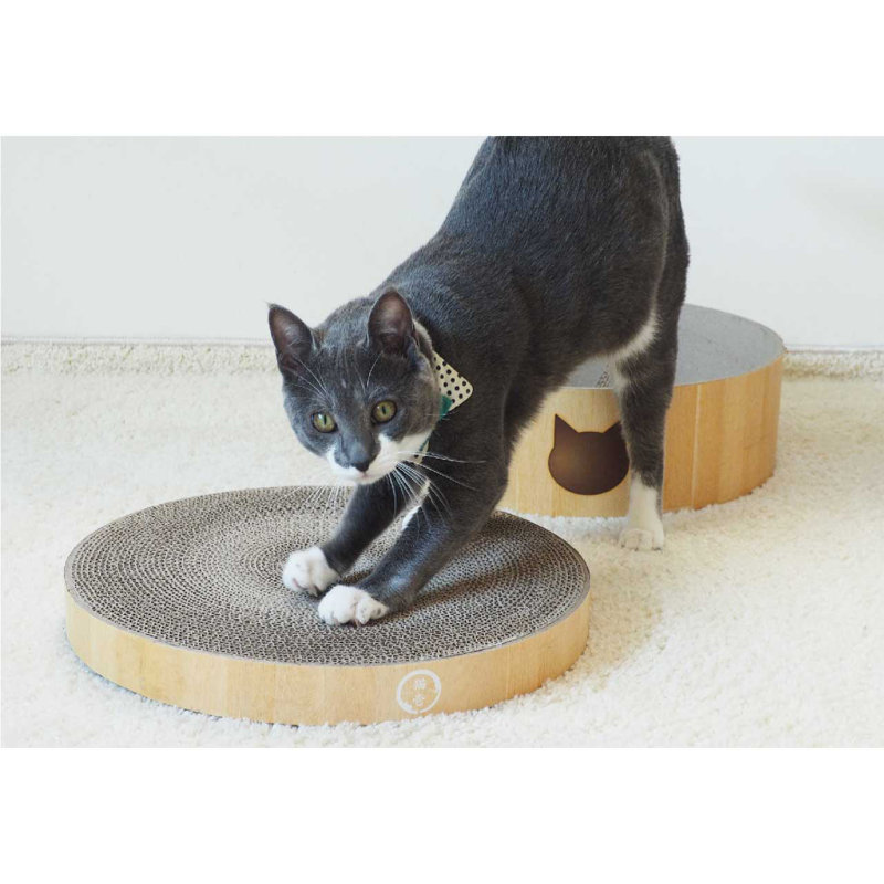 grey cat scratcher