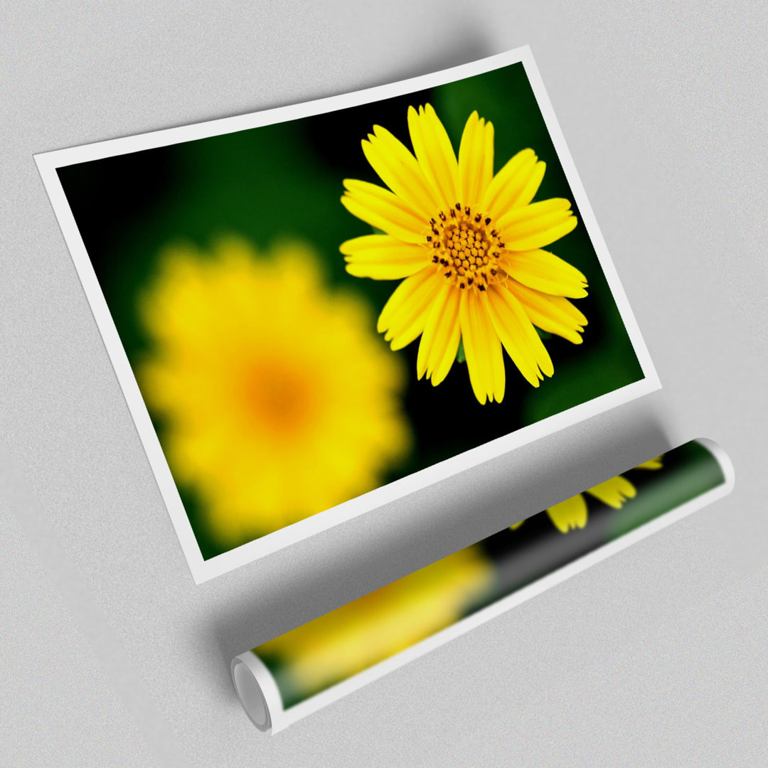 Deal Detail