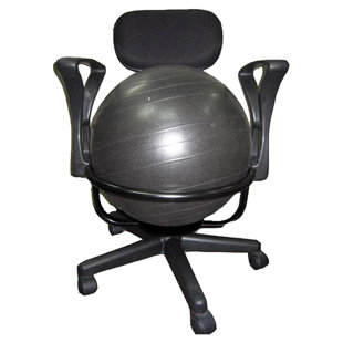 Go to store & view more images Symple Stuff High Back Exercise Ball Chair