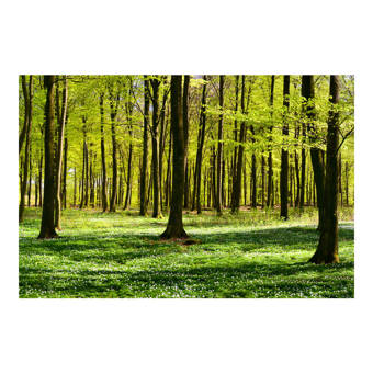 east urban home poppy flower semi gloss