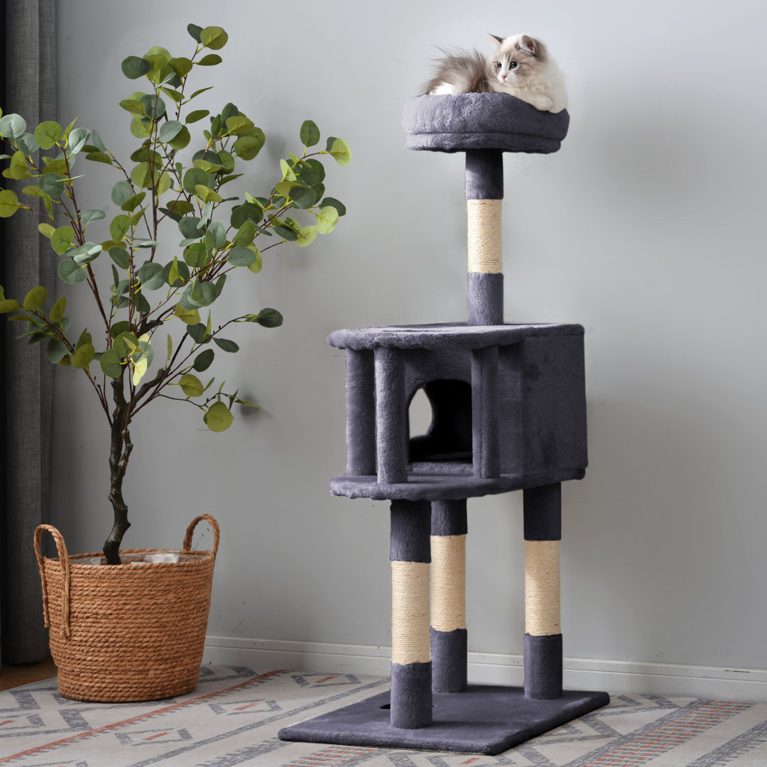 Archie & Oscar Katzenbaum Cryal