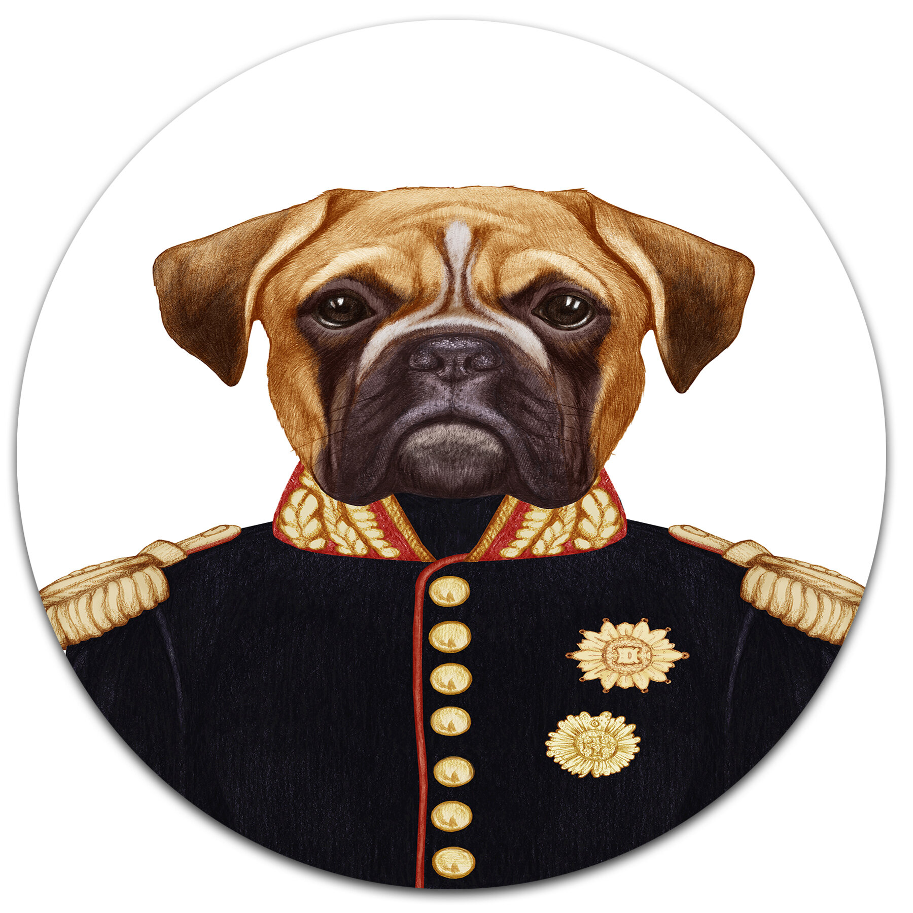 Designart Funny Boxer Dog In Military Uniform Graphic Art Print On Metal Wayfair
