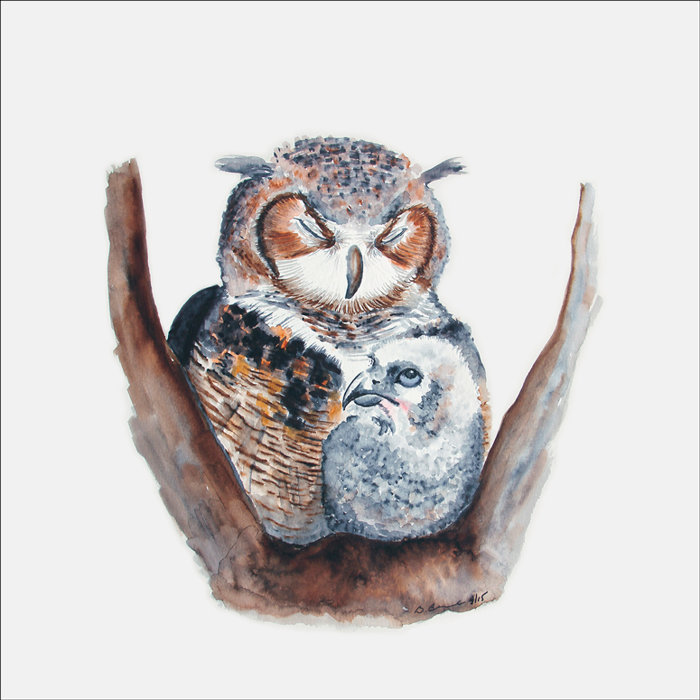 Mom And Baby Owls Canvas Art Mom And Baby Owls Canvas Art