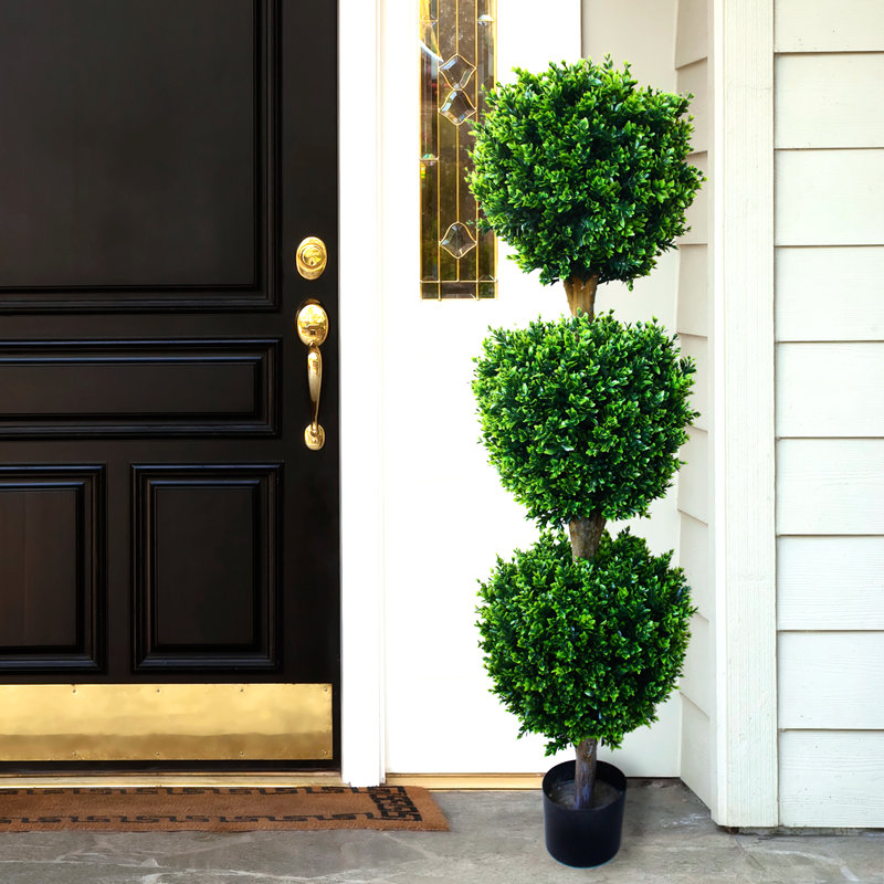 Darby Home Co Brooklyn Floor Boxwood Topiary In Pot Reviews Wayfair Ca