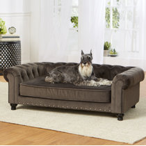 dog sofa canada