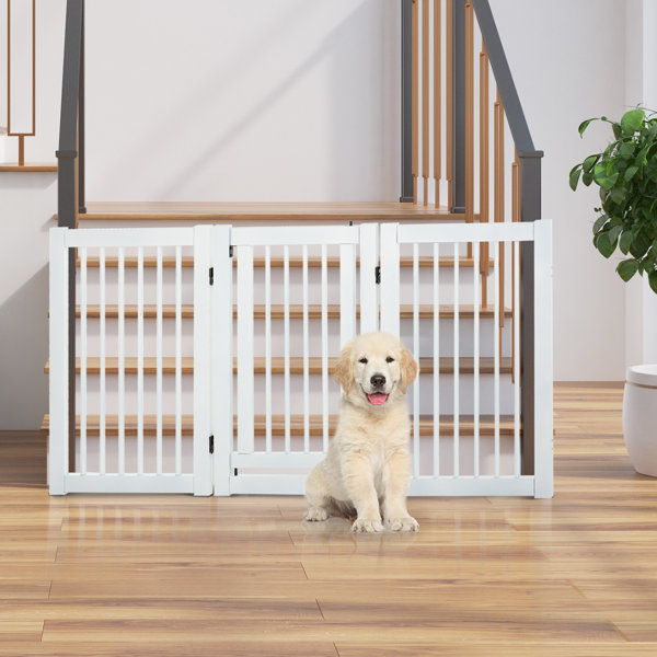 doorway gate with door