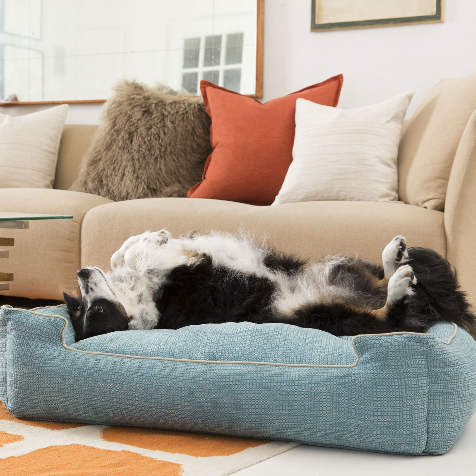 corrine dog sofa with cushion