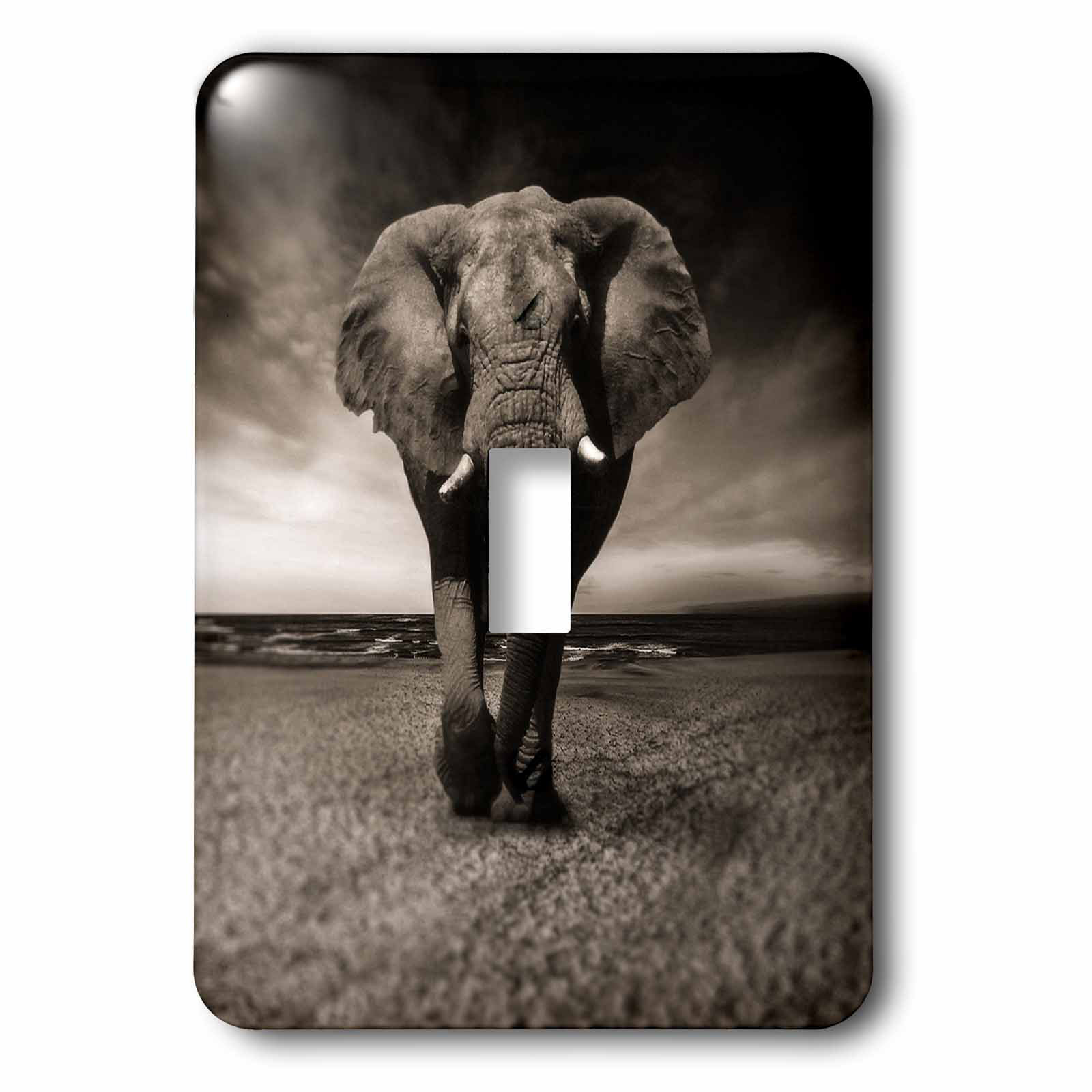 3drose African Wildlife Elephant 1 Gang Toggle Light Switch Wall Plate Wayfair
