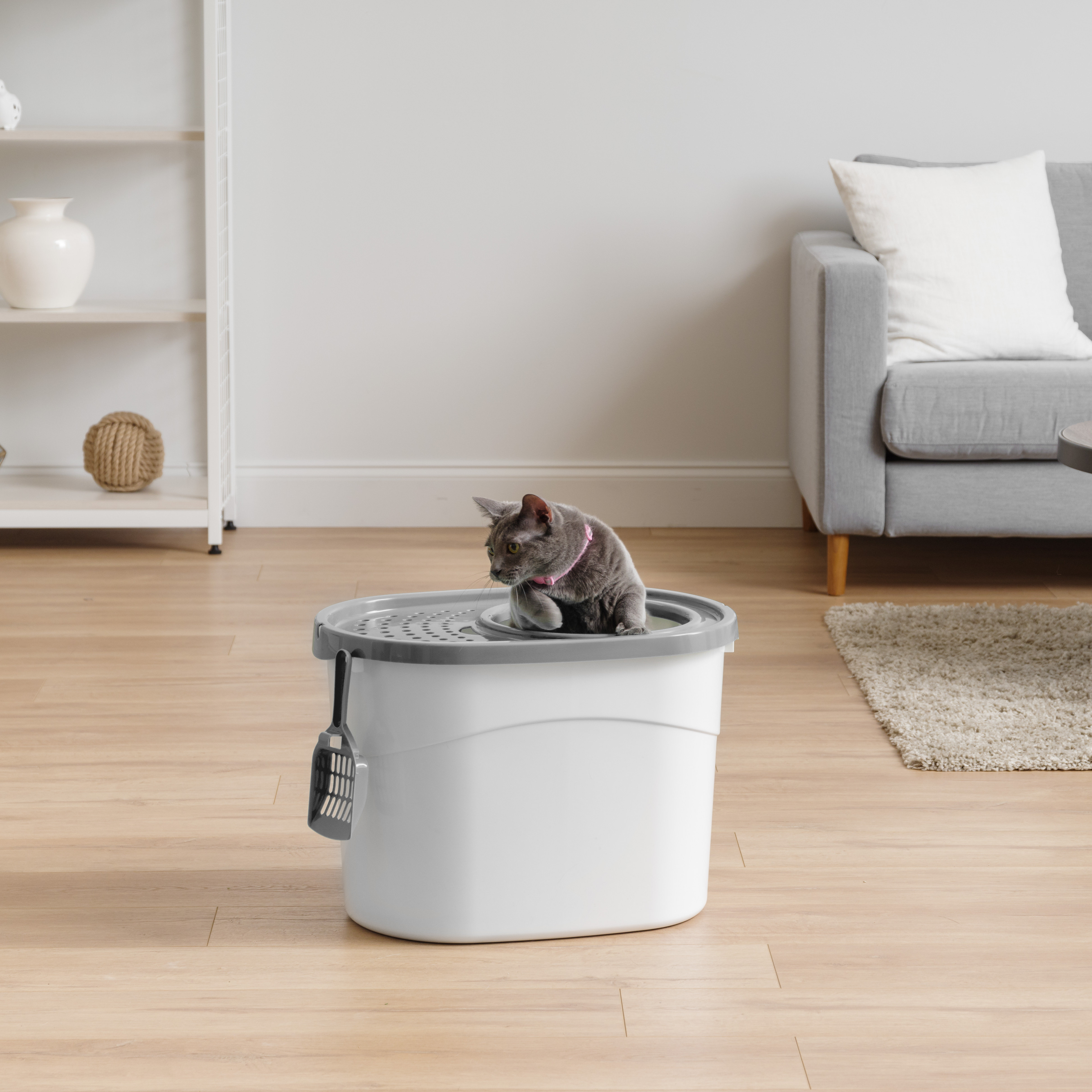 [BIG SALE] Litter Boxes Under 50 You’ll Love In 2021 Wayfair