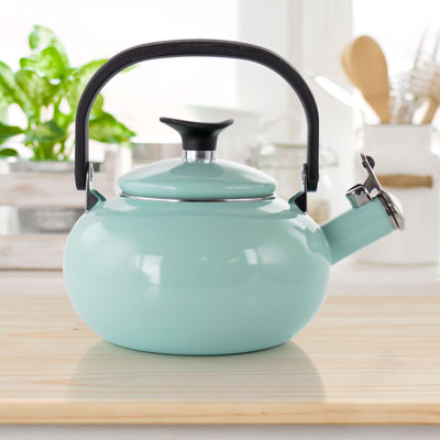 Kenmore 15 qt Stainless Steel Whistling Stovetop Kettle Kenmore