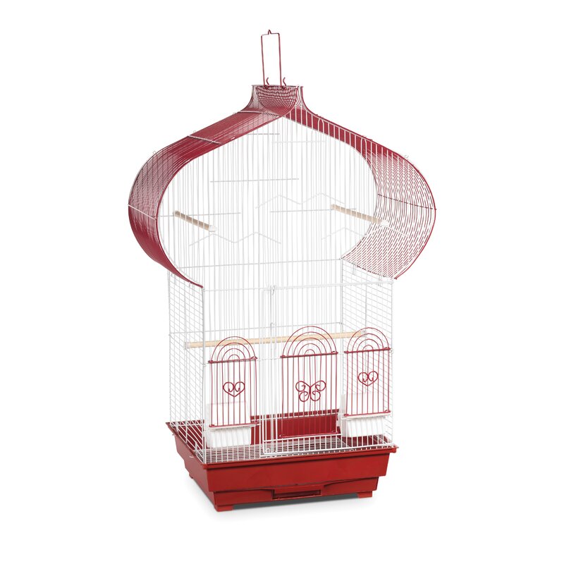 plastic bird cage