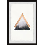 Forest Pictures Wayfair