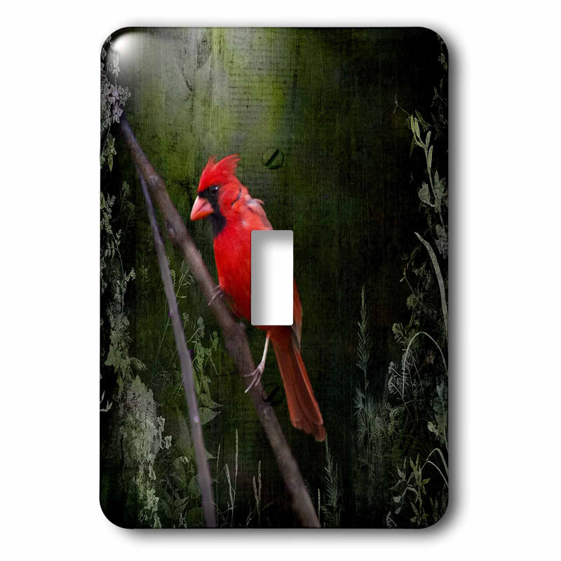 3drose Wild Bird 1 Gang Toggle Light Switch Wall Plate Wayfair