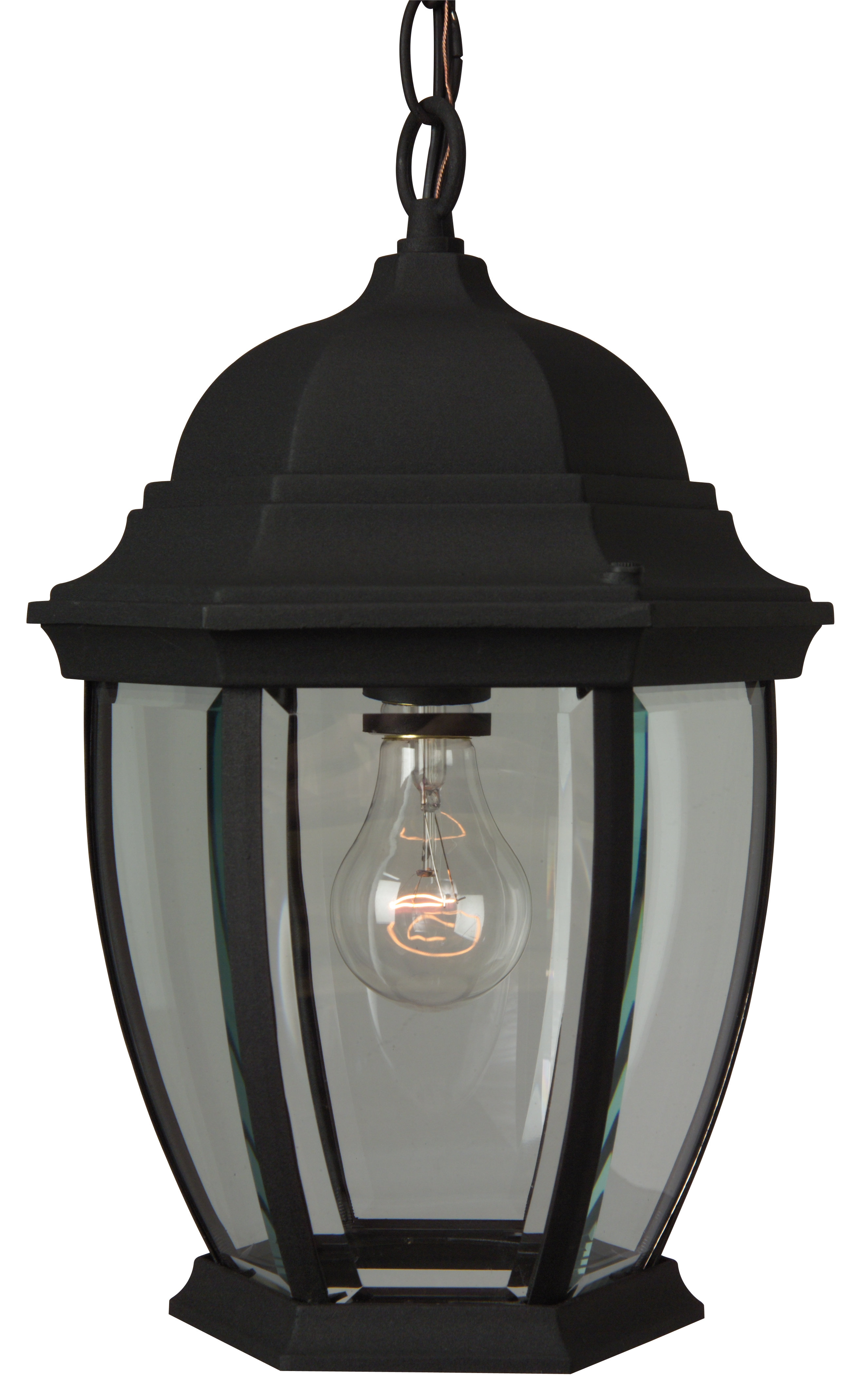 Breakwater Bay Frederica 1 Bulb 14 5 H Outdoor Hanging Lantern Reviews Wayfair